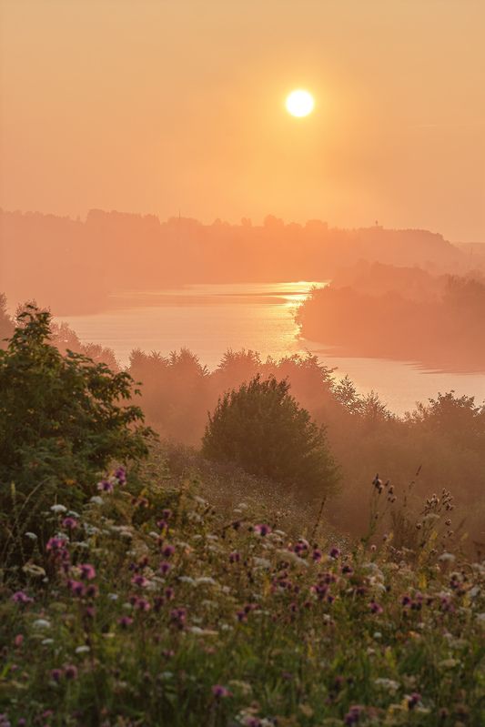 вятка,река,рассвет,утро,лето,кировская область,пейзаж,туман Рассвет на берегу Вятки фото превью