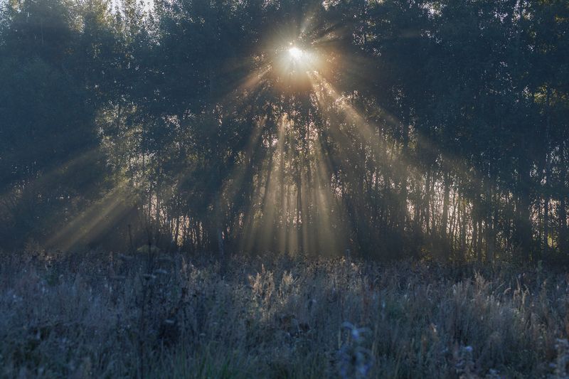 Объятия рассветаphoto preview