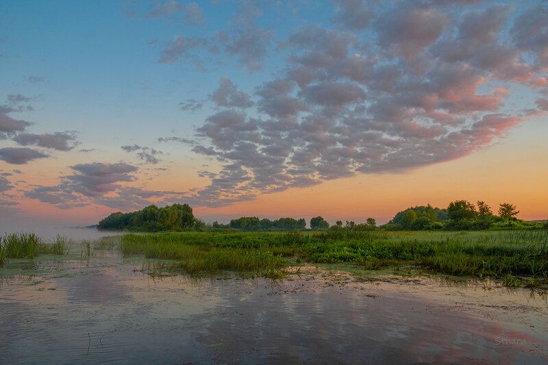 лето река облака туман природа пейзаж Утро на Оке.photo preview