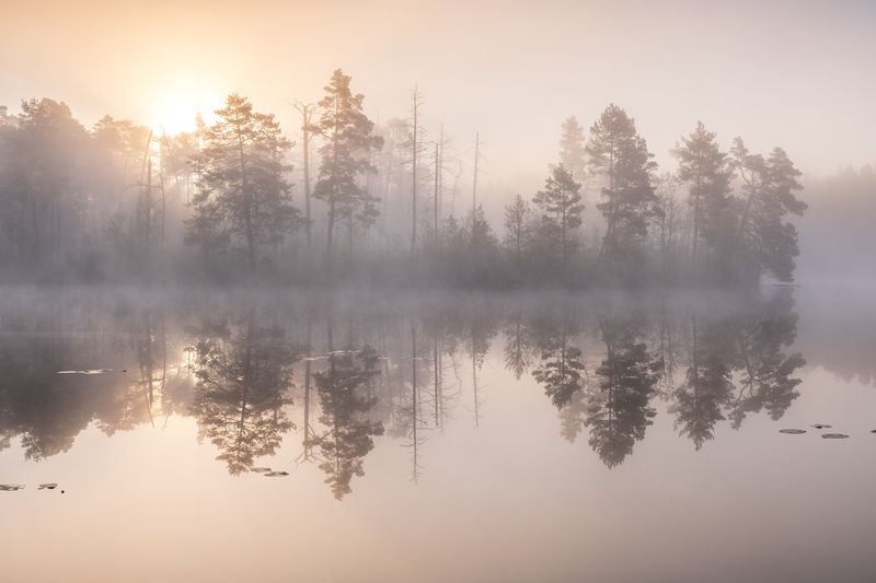 morning, fog, lake, spring Туманное утроphoto preview