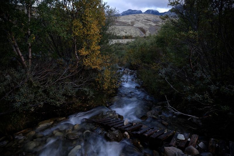 Landscapes, Norway, Rondane National Park, Mountains, Autumn, Mood, Stream,  Осень в горахphoto preview