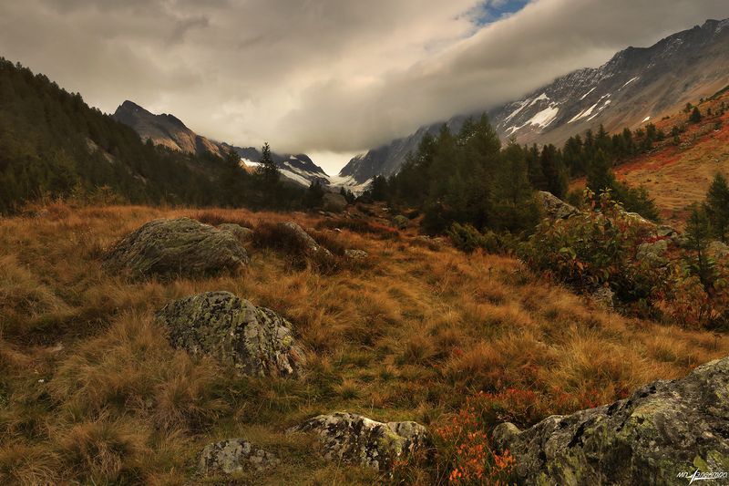 swiss Осень..photo preview