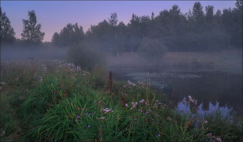 В ожидании луныphoto preview