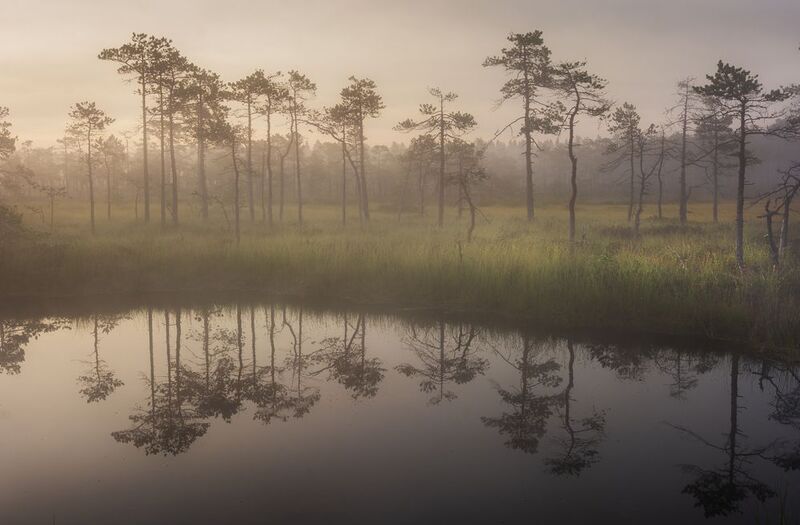 Утреннее зеркало photo preview
