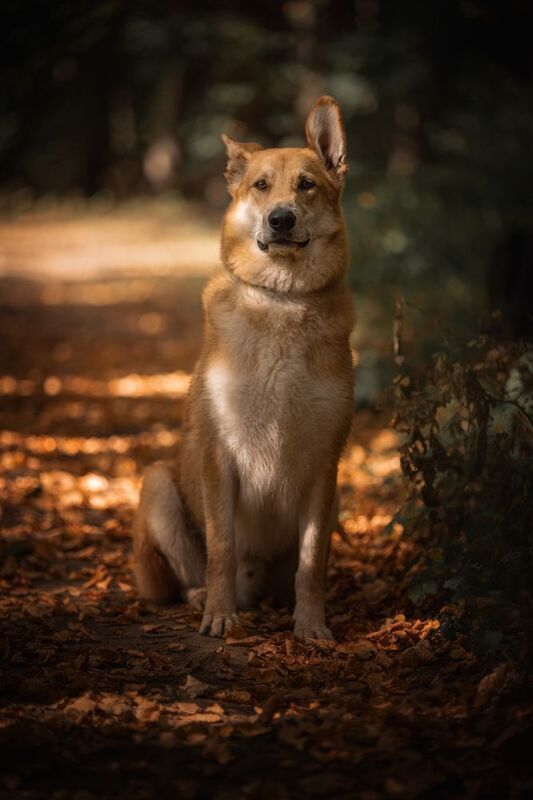 Наянphoto preview