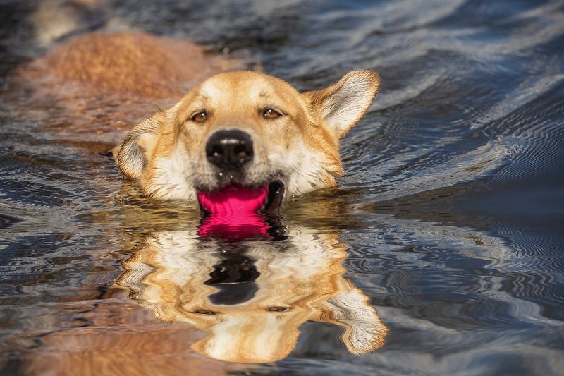 Наянphoto preview