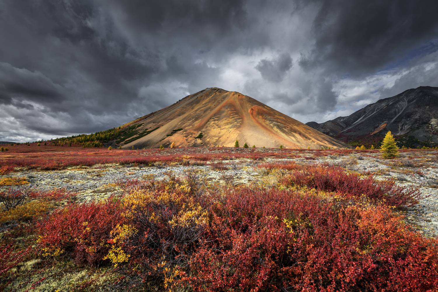 , Евдокимов Максим