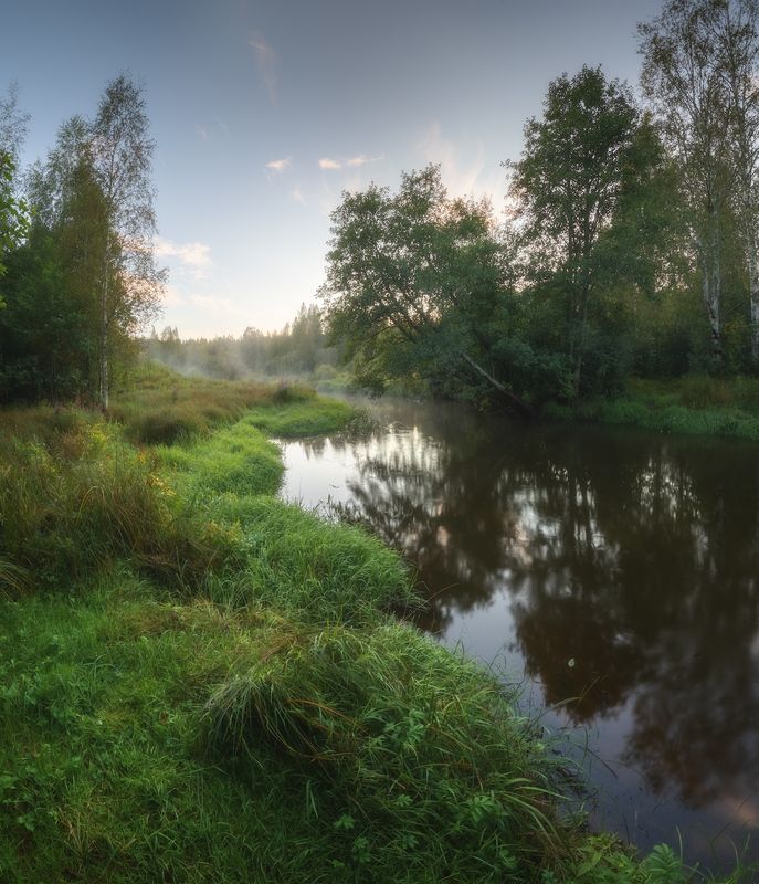 закат, речка, ленобласть, лес, лето Конец летаphoto preview