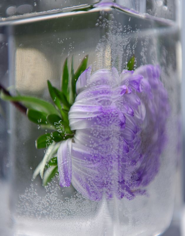 Цветочная абстракцияphoto preview