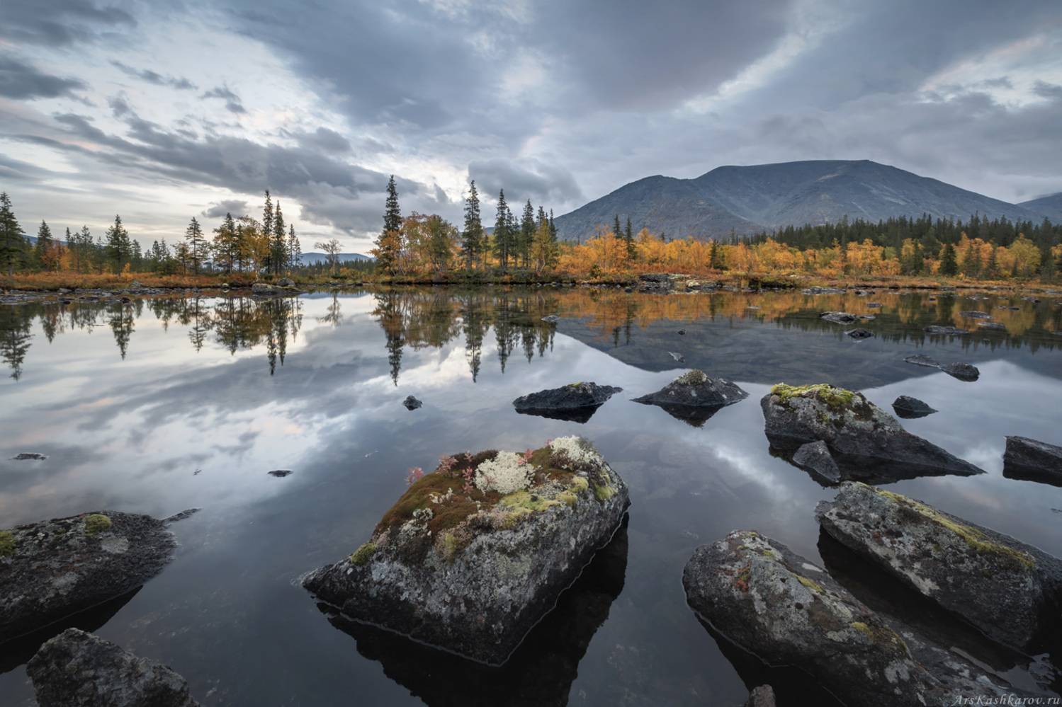 Полигональные озера. Автор: Арсений Кашкаров кольский полуостров, хибины, арктика, полигональные озера, куэльпорр, мурманская область, лесотундра, золотая осень, Арсений Кашкаров