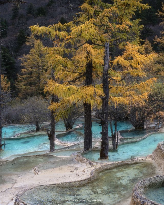 Китайphoto preview