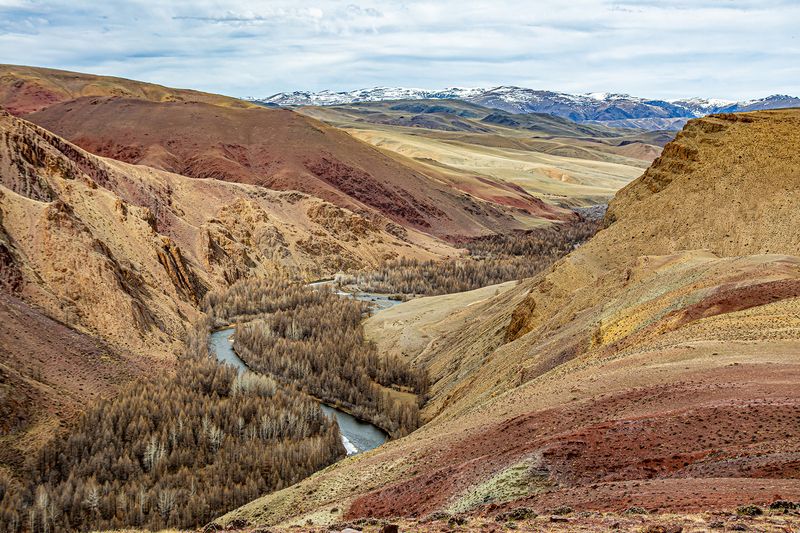 марсианская палитра Марсианская палитраphoto preview