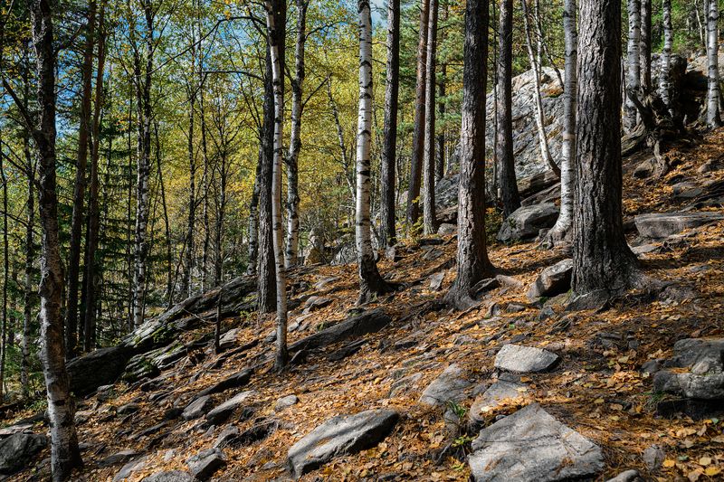 Таганайphoto preview