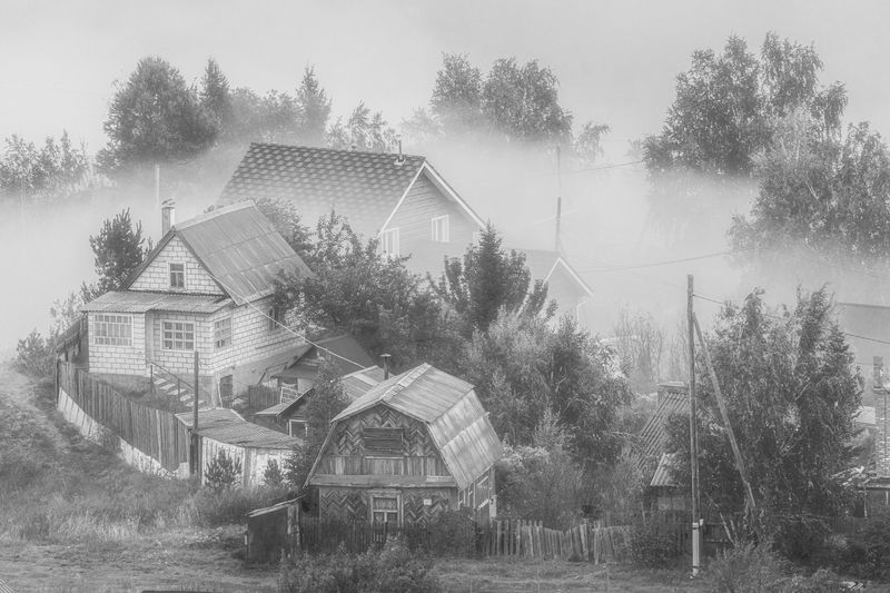 Туман на дачеphoto preview