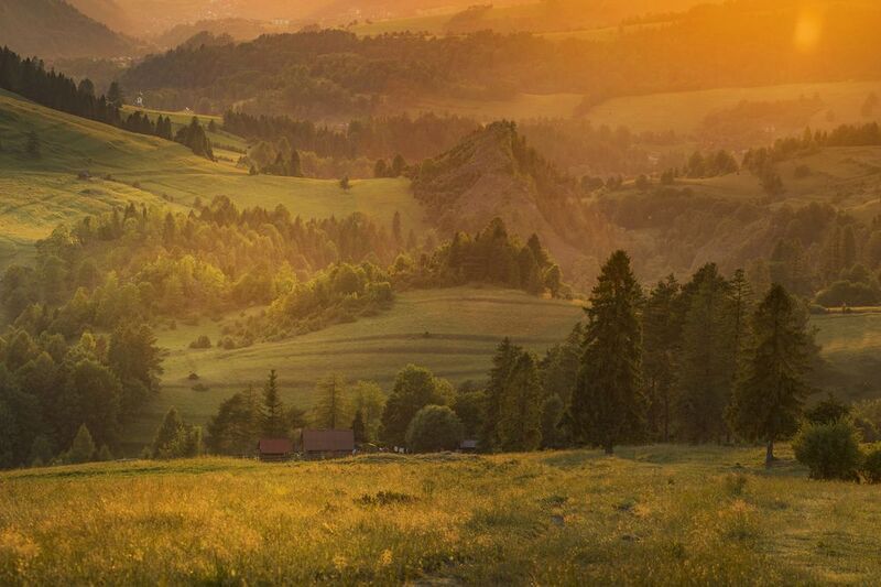 Fog, Landscape, Tree, Nature, Forest, Morning, Dawn, Hill, Pieniny, Poland Pieniny фото превью