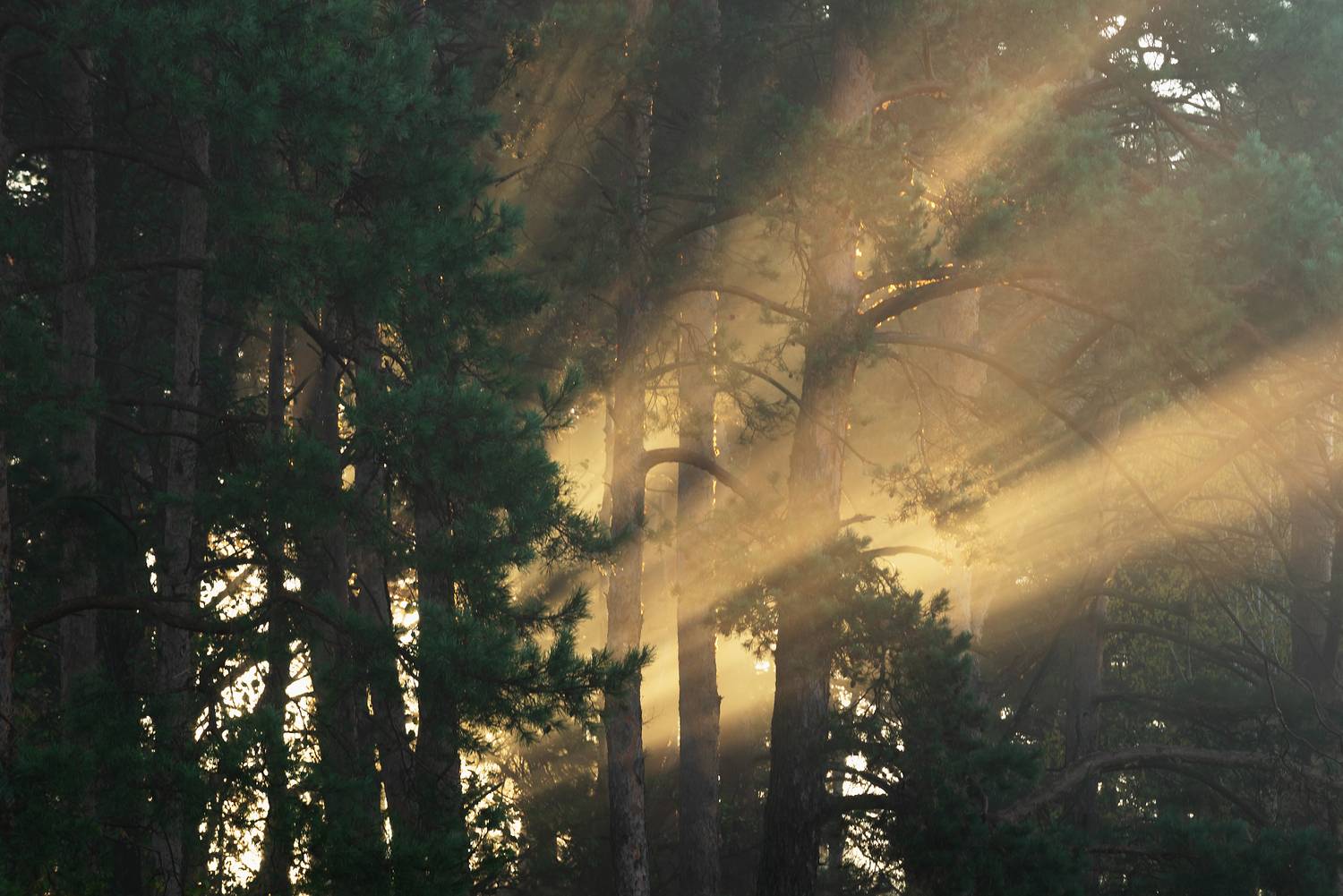 , Захаров Дмитрий