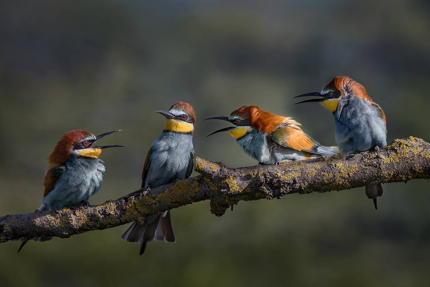 , Людмила Ожиганова
