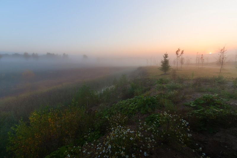 Осеннее утроphoto preview