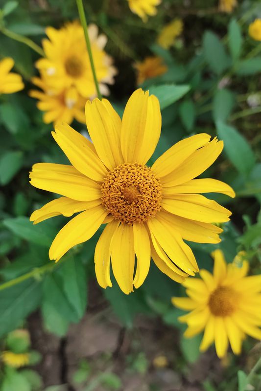 Зарисовки лета photo preview