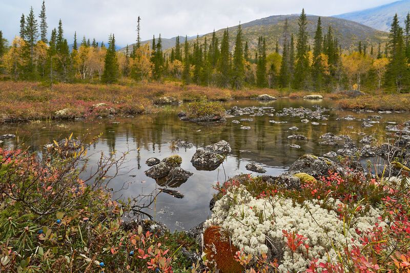 хибины, осень, озеро Хибины фото превью