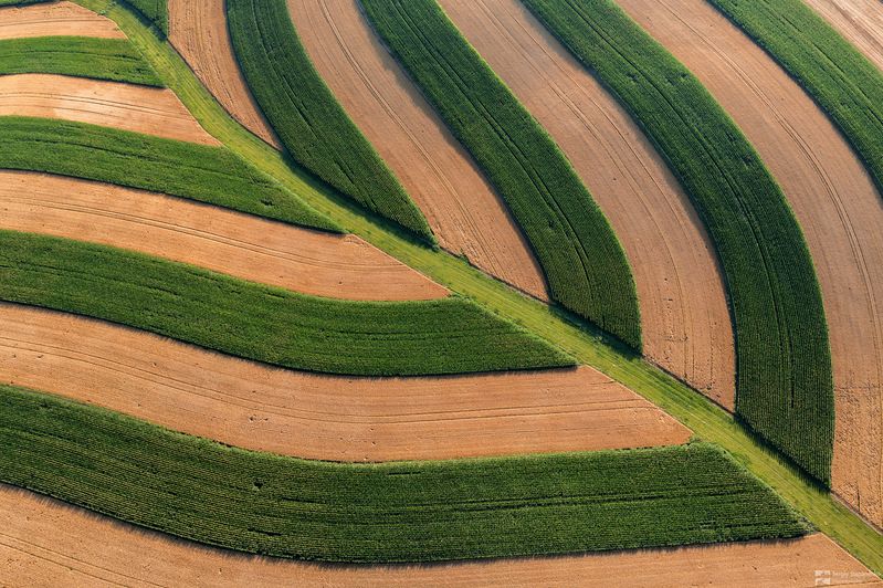 The Leafphoto preview