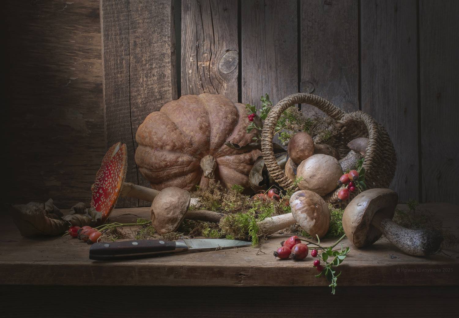 , Шипунова Ирина