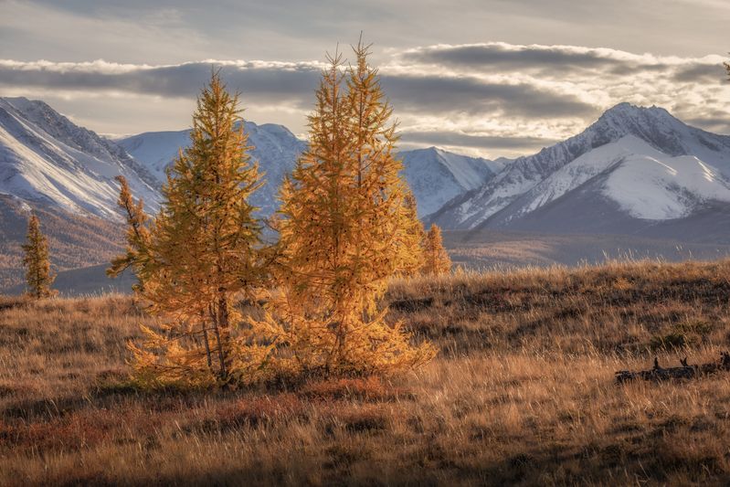 Алтай photo preview