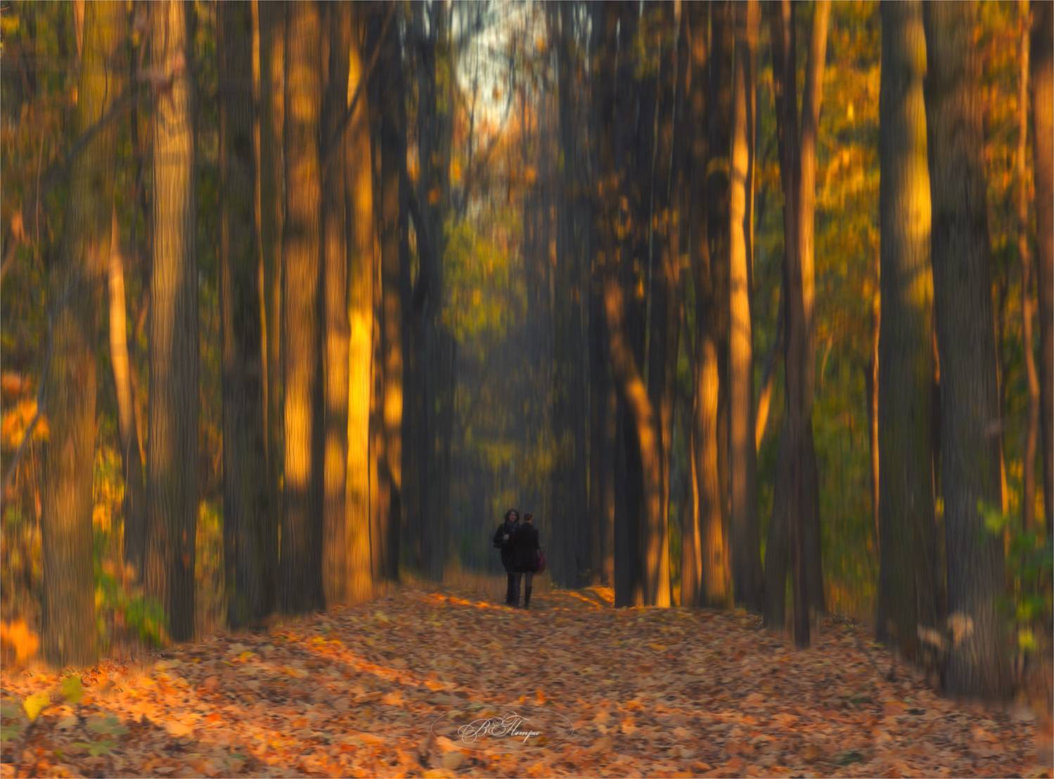 Осенний импрессионизм. Автор: Вера Петри деревья девушки листья, Вера Петри