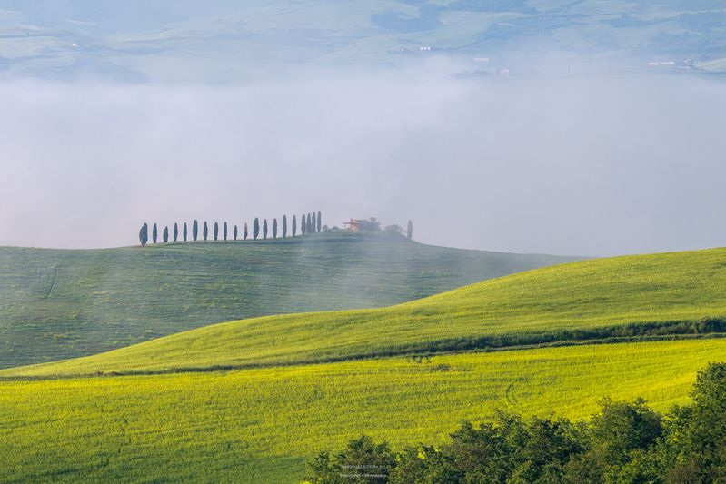 тоскана, пейзаж, утро, туман, кипарисы, италия Тосканский пейзажphoto preview