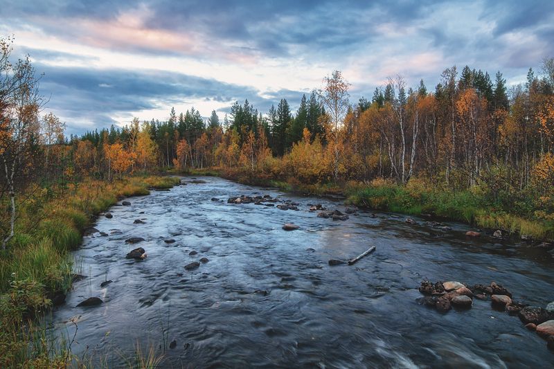 Осень ...photo preview