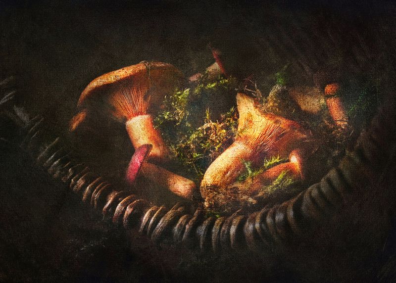 натюрморт, осень, грибы, лес, still life  Сердце осени грибное photo preview