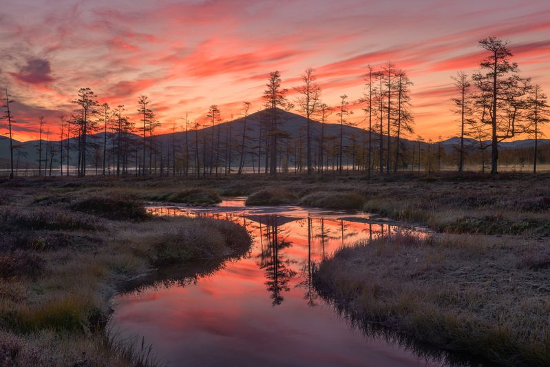 Утро на болотах...photo preview