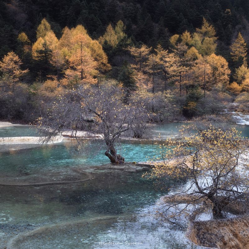 Китайphoto preview