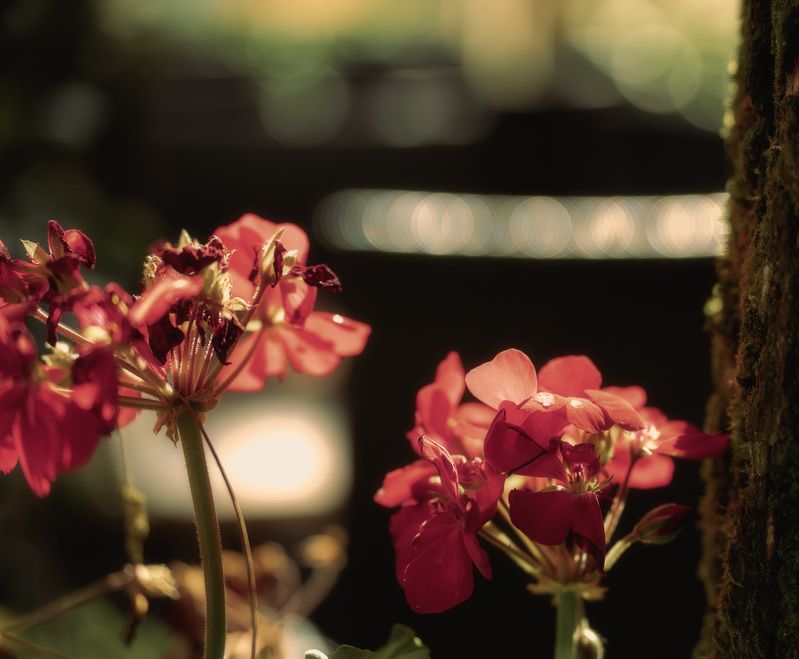 Свет Вот так выглядит Свет photo preview