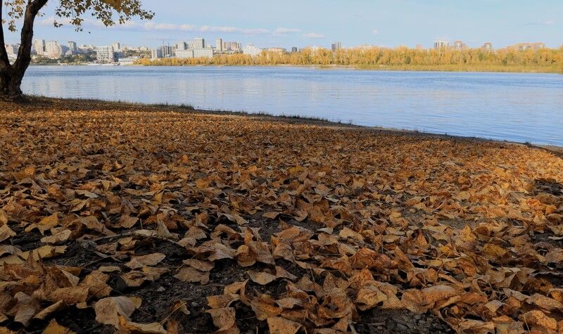 природа,река,осень,листья Осенние листьяphoto preview