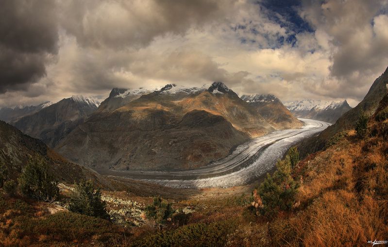 swiss Алечphoto preview