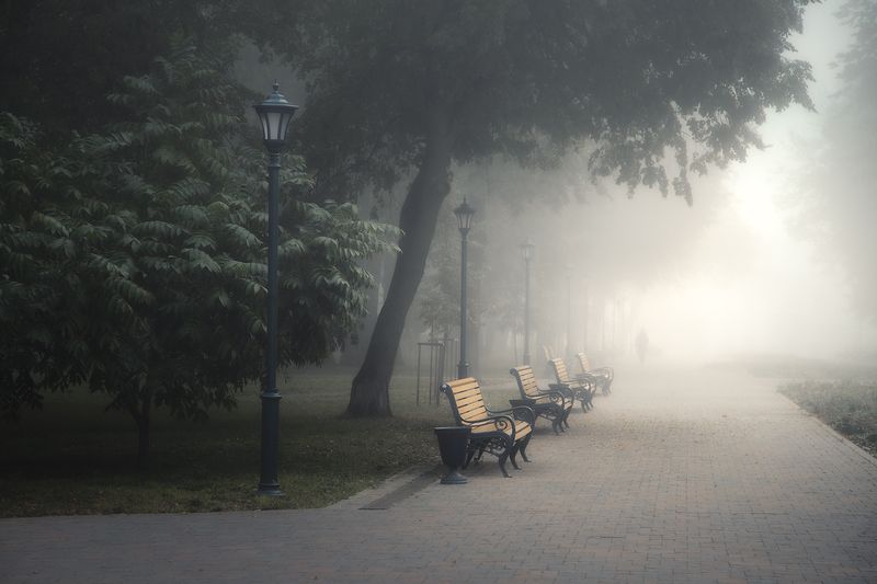 туман, парк, аллея, фонари, осень Туман как утренний сон города...photo preview