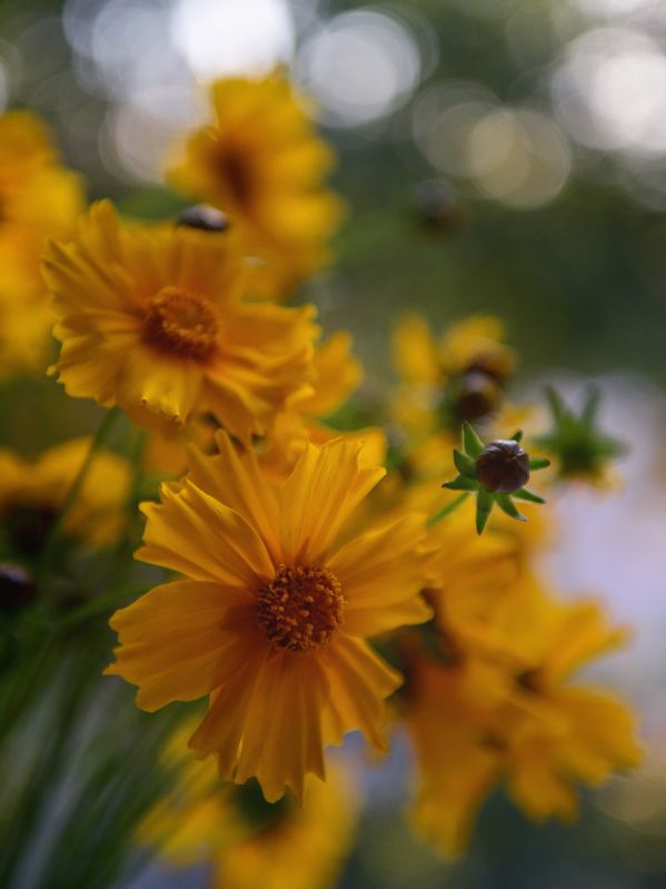 На закатеphoto preview