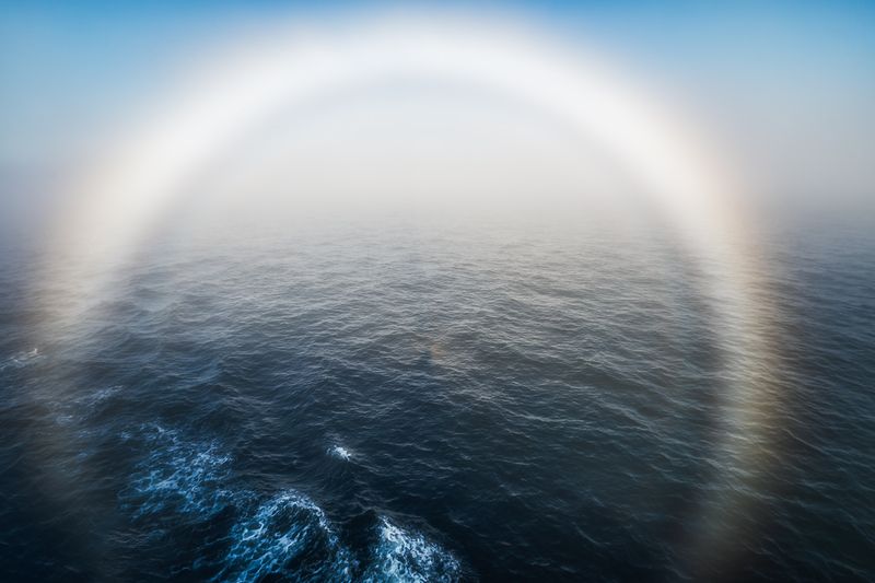 Белая Радугаphoto preview