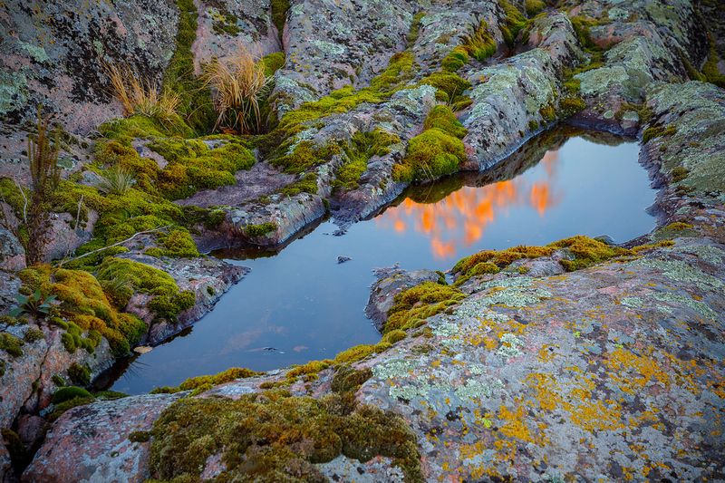 осень, золотая осень, ладожские шхеры, карелия, ладога, северное приладожье, сортавала, питкяранта, русский север,северная природа, северный пейзаж, пейзажи карелии, фототуры по карелии, фототуры по ладоге, фототур на ладожские шхеры И вспыхнет пламяphoto preview