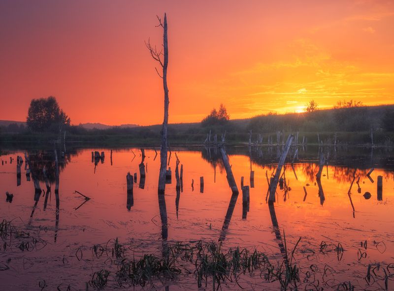 россия, пруд, чувашия, природа, закат Безымянный прудphoto preview