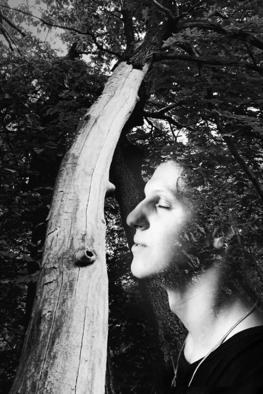 Дух леса.photo preview