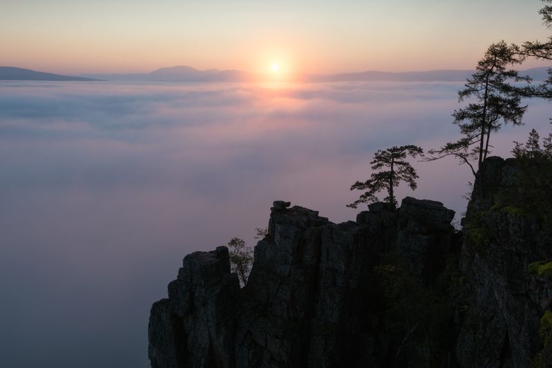 Зубы Шуралеphoto preview