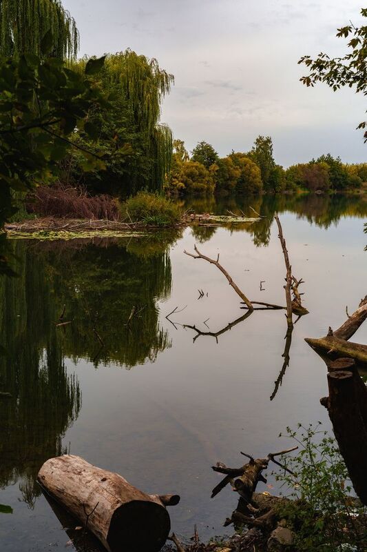 Озероphoto preview