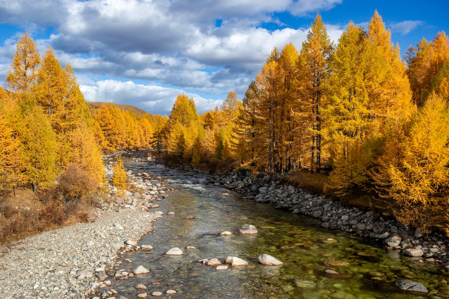 , Буянов Илья