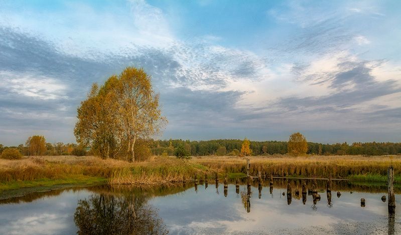 Осеннее утро.photo preview