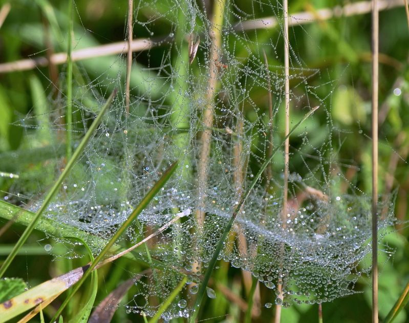 Маленький космос....photo preview