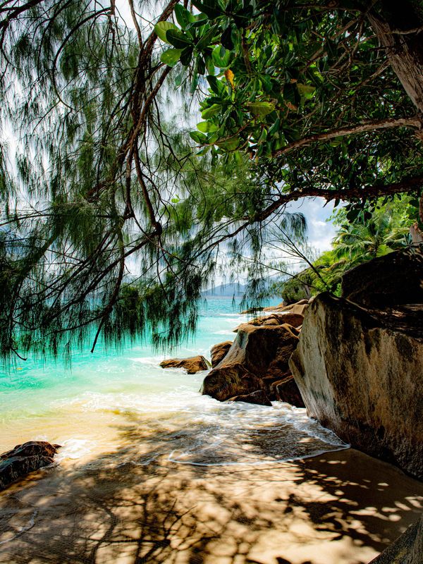 A place to bephoto preview