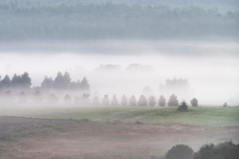 Панскоеphoto preview