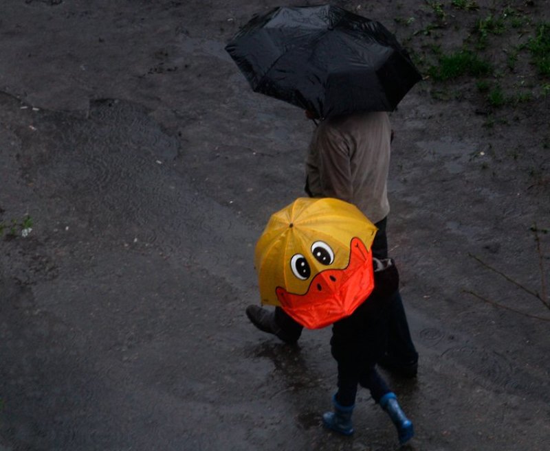 дождь от улыбки хмурый день светлей :)photo preview